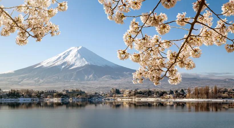 MtFujiCherryBlossoms_iStock1491332775.jpg