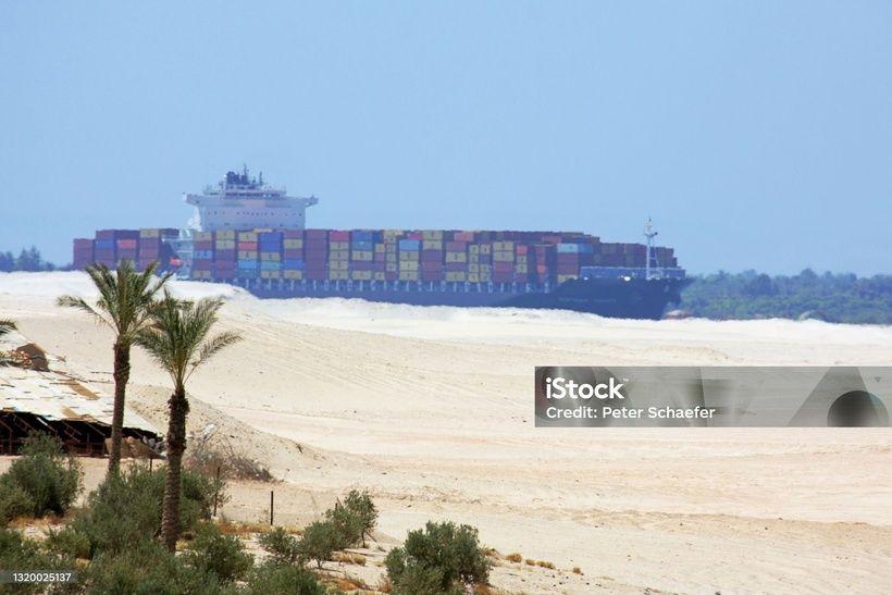 SuezCanalPalms_istockphoto-1320025137.jpg